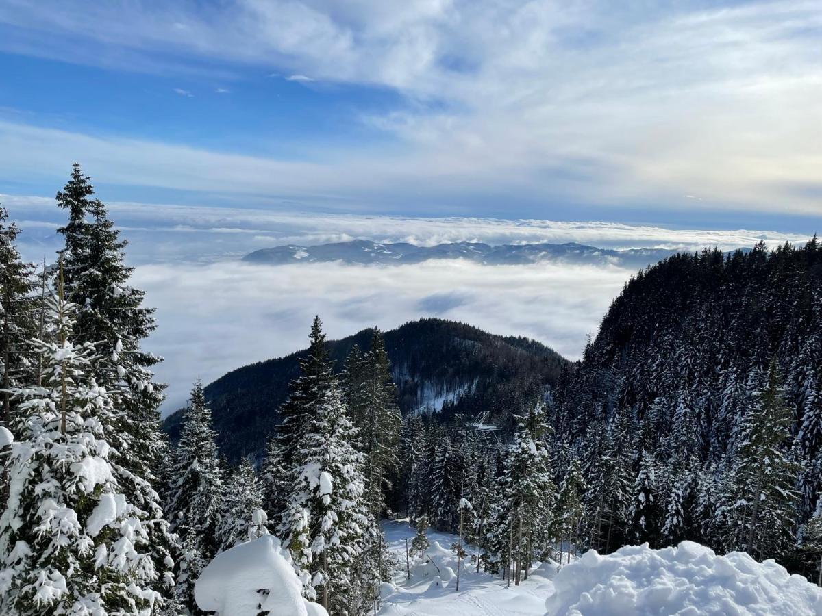 Apartma Lilija Golte Mozirje Exteriér fotografie